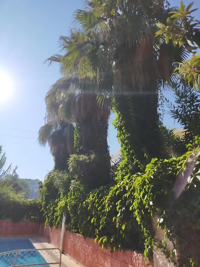 Hotel Ali Baba Otel Marmaris